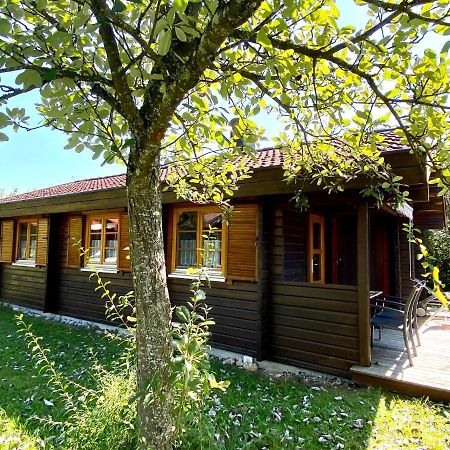Ferienhaus Bruckner Hayingen Lauterdoerfle 外观 照片